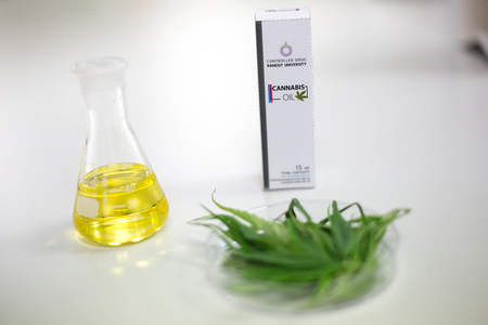 A Cannabis oil product for medical purposes from the Rangsit University laboratory seen being display at Rangsit University in Pathum Thani Province, north of Bangkok.
The legalisation of medical cannabis was approved by the government on December 26, 2018 in Thailand. The country is now ready to distribute over 10,000 bottles of medical cannabis oil throughout the hospitals from August 07, 2019. The medicine will be mostly use for patients with Alzheimer disease, Parkinson disease, epilepsy, nausea and chronic pain.