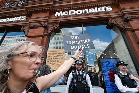 A Protester holds a placard outside McDonald's during the National Animal Rights March (NARM) through central London. Animal rights activists take part in the National Animal Rights March (NARM) through central London, calling for an end to animal exploitation and promoting veganism, animal liberation and an anti-speciesist society. Organised by the grassroots NARM collective, the march brings together animal rights organisations, campaigners and individual activists for a public display of solidarity.