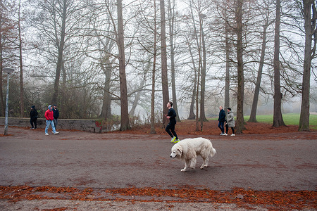 People seen walking in the park during a foggy morning. In the Vondelpark, the dense fog almost blanketed the trees and the people enjoying outdoor activities. The Royal Netherlands Meteorological Institute (KNMI) issued a Code Yellow warning. The fog could cause traffic disruptions, with some areas reporting visibility as low as 100 meters.