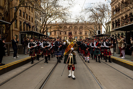 Drum Major of the 5th/6th Battalion, Royal Victoria Regiment Pipes and Drums leads the massed pipes and drums through Melbourne’s CBD during the 2024 Tartan Day Parade. The Melbourne Tartan Day Parade is an annual celebration of Scottish heritage, bringing together pipers, dancers, and community groups in a vibrant display of national pride. Held in the heart of the city, the event honours the signing of the Declaration of Arbroath in 1320—a cornerstone of Scotland’s identity and a symbol of self-determination. Participants, dressed in traditional Highland attire, march with clan banners and musical ensembles, while the Saltire flies high above the crowd. The parade reflects Melbourne’s multicultural fabric, showcasing intergenerational pride and the enduring cultural ties between Australia and Scotland.