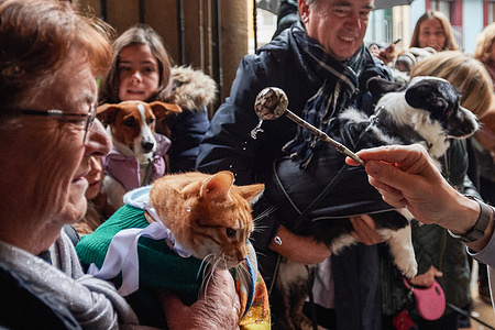 Father César Magaña blesses a cat that came to the Church of Saint Nicholas in Pamplona today during the celebration of Saint Anthony's Day, patron saint of animals.