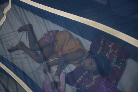 A child infected with dengue fever takes treatment under a mosquito net at the hospital in Dhaka.
A record number of dengue cases have been reported across the country this year, with 9,256 patients recorded since January 1, according to the Directorate General of Health Services (DGHS). Eight of the patients have lost their lives between April and July 25, according to latest DGHS control room data.