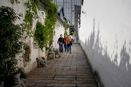 Three people seen strolling along a narrow tree-lined alley flanked by traditional white walls and lush green vines. May 1st, the first day of China's May Day holiday, saw an influx of local residents and tourists to Qingguo Lane Historic and Cultural District. They strolled through the ancient alleyways, enjoying the leisurely pace of the holiday.