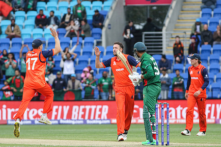 Netherlands cricket players celebrate a wicket during the T20 World Cup cricket match between Netherlands and Bangladesh at Blundstone Arena. Bangladesh won by 9 runs