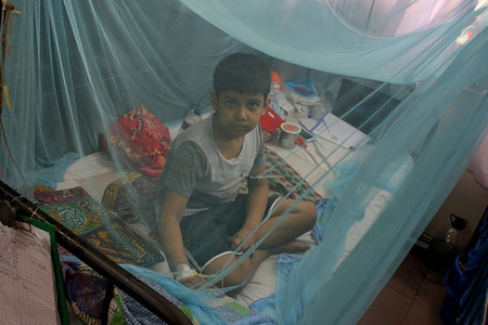 A kid infected with dengue fever receives treatment under a mosquito net at a hospital in Dhaka.
A total of 27,437 people have been affected by dengue this year from January 1st till August 5th.