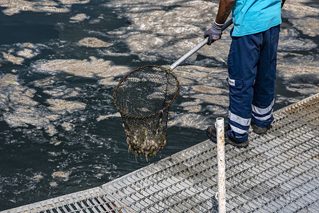 A municipal cleaning personnel seen at work during the mucilage clean-up initiative by authorities from Marmara Sea on Istanbul's Caddebostan coast.
One of the causes of mucilage (sea snot) in the Sea of Marmara is global warming and environmental pollution. The phenomenon threatens marine diversity. It sticks on corals and sponges causing them to die. It also causes fish deaths, thus affecting the fishing industry.
