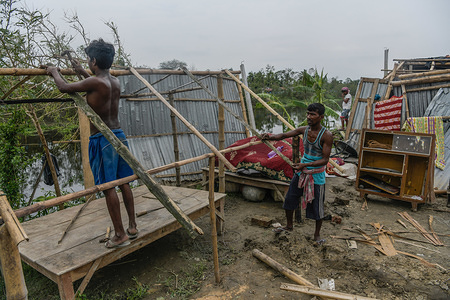 NORTH 24 PARGANAS, INDIA - MAY 25, 2020: Men are seen repairing their damaged house in the aftermath of cyclone Amphan in a village of South 24pgs.
Amphan made landfall on West Bengal near the Sundarbans between Digha and Hatiya on 20 May, with wind gusts along coastal areas measured at 150ñ160 km/hr. Cyclone Amphan, one of the strongest storms in recent memory to churn through the Bay of Bengal killing more that 80 people and leaving the entire state devastated.