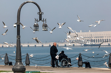 People feed a seagull at the old port in Doha.