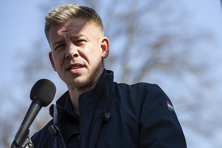 Peter Magyar, leader of the opposition Tisza Party, delivers a speech from the back of a truck during an election rally. Peter Magyar, the leader of Hungary’s opposition Tisza Party, held a high-energy election rally in the town of Sulysap as part of his extensive nationwide campaign tour. Speaking from a makeshift stage on a truck, Magyar addressed local residents and supporters, emphasizing his party’s commitment to transparency, European alignment, and a systemic overhaul of the country’s political landscape. The 2026 parliamentary election cycle is widely regarded as one of the most consequential in Hungary's recent history. Magyar, who rose to prominence by breaking ranks with the ruling elite, has positioned the Tisza Party as the primary challenger to Prime Minister Viktor Orban’s sixteen years dominance. The Hungarian general election will be held on Sunday April 12.