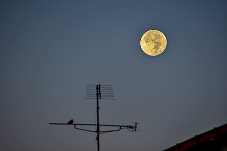 The Full Harvest Moon is seen behind the silhouette of a television antenna in Marseille. The September full moon (Harvest Moon) is the full moon closest to the autumnal equinox. It is so called because it appears in the Northern Hemisphere at the time of year that coincides with crop harvest.