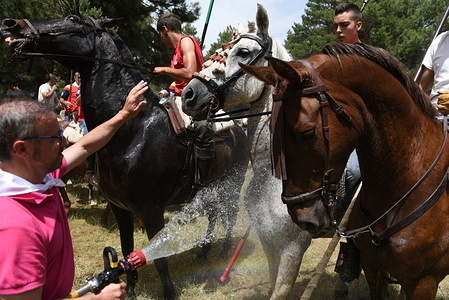 A man sprays water to several horses during the celebration of 'La Saca' in Soria, north of Spain, where high temperatures reached 38º degrees Celsius at the afternoon hours.
The first heatwave of summer continues in Spain. Spanish's weather agency AEMET said that seven regions is with a red alert for Friday as very high temperatures could pose a danger for life during the next days.