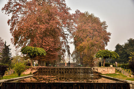 A couple walks through the Shalimar garden during a cold autumn day.