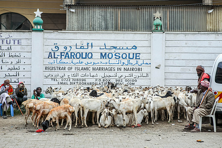 A business man waits for customers at a temporary two days Goat market along Muratina street in Eastleigh, each goat is sold between $60 - $140 as Muslims prepare to celebrate Eid al-Adha in Nairobi. Eid al-Adha, the second and biggest of the two main holidays celebrated in Islam begins on the evening of Saturday 9 July and ends on the evening of Sunday 10 July 2022 in Nairobi. This tradition involves slaughtering an animal and sharing the meat in three equal parts – for family, for relatives and friends, and for poor people.