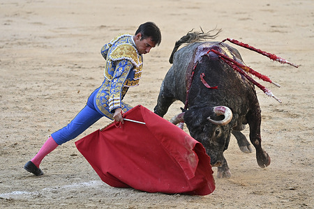 Bullfighter Gómez del Pilar during the bullfight with bulls from the Veiga Teixeira ranch at the Plaza de las Ventas in Madrid, 20 September 2026, Spain.