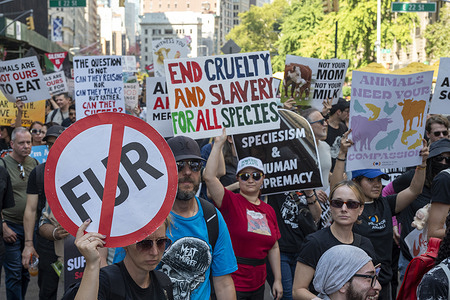Hundreds of animal rights protesters with placards participate in the Animal Rights March NYC 2025 on Broadway.