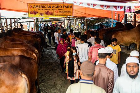 People come to visit a cattle market as sacrificial animals are sold ahead of the Muslim festival of Eid al-Adha. Eid al-Adha, feast of the sacrifice, marks the end of the Hajj pilgrimage to Mecca and commemorates Prophet Abraham's readiness to sacrifice his son to show obedience to Allah.