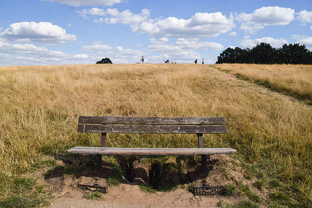 An empty park bench is seen in a parched landscape in Hampstead Heath as hot weather and drought conditions caused by climate change continue in London. England has reported its driest July in close to a century.