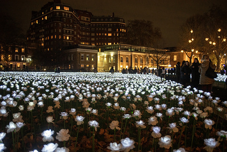Visitors walk between the glowing white roses at the Duke of York Square in London. 30000 illuminated white roses are installed on the Duke of York Square in London to support the Royal Marsden Cancer Charity. It is a tranquil heaven to remember for the lost family members and friends. Everybody is invited to dedicate a rose to a loved one whilst making donation to the Royal Marsden Cancer Charity.