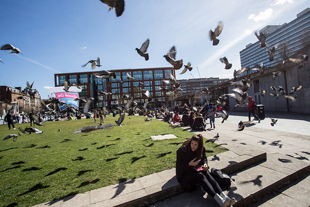 A woman sitting on the steps around pigeons.
Greater Manchester is a remarkable city in the northwest of England with a rich industrial heritage. The Castle field conservation area’s 18th-century canal system recalls the city’s days as a textile powerhouse, and visitors can trace this history at the interactive Museum of Science & Industry.