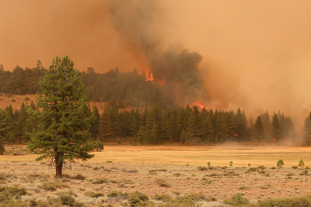The Tamarack fire burns unchecked due to drought conditions and gusty winds.The Tamarack fire continues to burn through more than 21,000 acres and is currently 0% contained.