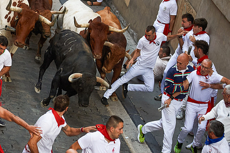 Runners seen dressed in white and red run in front of the bulls during the fifth running of the bulls at the San FermÌn 2025 festivities.