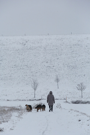 A woman takes her dogs for a walk after a night of heavy snowfall. There has been heavy snowfall overnight throughout the region making travel very difficult. Some people got out early to enjoy the winter wonderland.