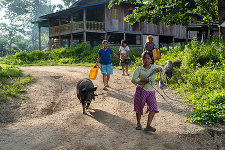 Local residents of Mae Ka Nel village fled the conflict, carrying their pets and essential belongings. In Karen State, near the town of Myawaddy, military camps were seized by the allied forces of the KNU and the People’s Defense Forces in 2024. Over a year later, in the first week of September 2025, the military launched an offensive to retake the lost camps. This offensive has included raids on several villages near Myawaddy, including Mae Ka Nel village. As a result, local residents have been forced to flee.