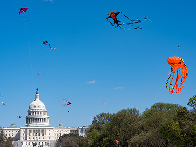 Kites fly over the U.S. Capitol during the 2026 Blossom Kite Festival on the National Mall in Washington.
