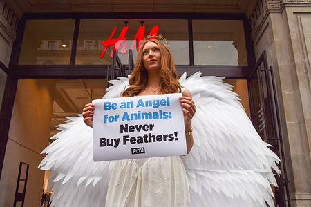 A PETA (People for the Ethical Treatment of Animals) activist dressed as an angel stands outside the H&M store on Regent Street with a placard urging people not to buy products containing feathers. The animal rights group states that their investigations have exposed cruelty to birds at companies supplying feathers for down-filled clothing and other items in shops like H&M.