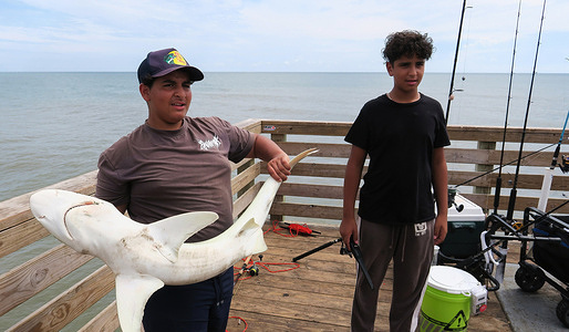 A fisherman holds a freshly-caught shark on the Daytona Beach pier on the Labor Day holiday in Daytona Beach.