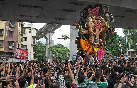 An idol of elephant-headed Hindu god Ganesha standing on a Lion seen carried from the workshop to pandal (temporary shelter). Scores of large Ganesha idols are carried to the pandal (temporary shelter) every weekend leading up to the festival. Installing large idols of Ganesha in pandal ahead of the festival helps the local organisers to embellish the surrounding backdrop and decorations according to the size and design of the idol. The ten day festival of Ganesh Chaturthi will begin from 14th September till 25th September and will be celebrated across the country.