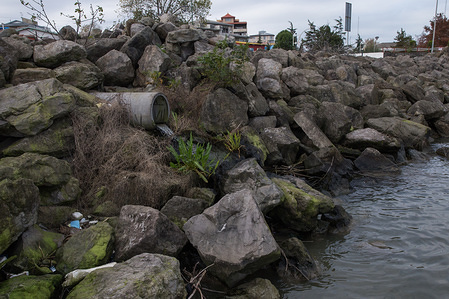 Household (domestic), agricultural and hospital wastewater and sewage flow into the sea from different points.
Iran has a major contribution to the pollution of the Caspian Sea. However, officials do not provide any solution to the problem.