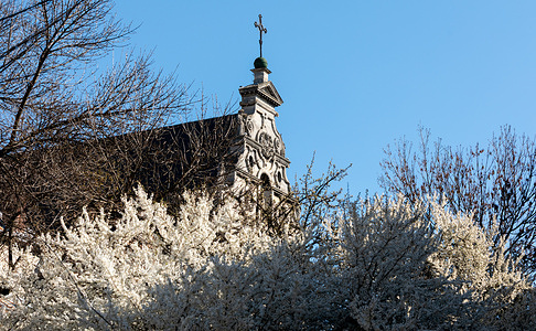 The stone facade of a historic church in Lviv is seen rising above the city. This structure stands as a symbol of cultural resilience during the ongoing conflict in Ukraine. Spring in Lviv blooms with a striking contrast, where delicate blossoms on tree branches frame ancient facades and the green domes of churches. This period of annual renewal brings moments of serenity and hope, becoming a symbol of the resilience of a city that continues to welcome life despite air raid sirens. The blue sky above the cathedral spires and the fresh greenery serve as a reminder of the eternal power of creation, capable of withstanding the threats of drone and enemy missile attacks.