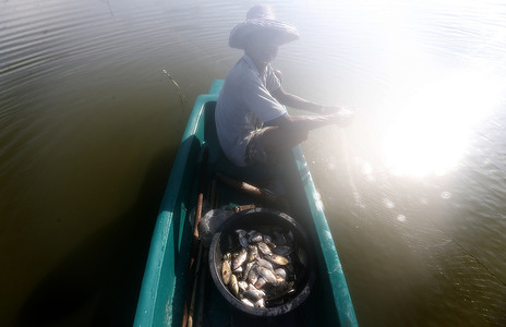 A villager holds fish on his boat at a flooded rice field, in Nakhon Sawan province, north of Bangkok.