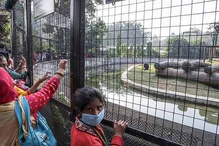 A young girl, wearing a protective face mask, stands outside a cage of chimpanzee in Alipore zoological garden on the first weekend of 2021.
Local tourists visit Alipore, India's oldest Zoological park without much observance to the COVID-19 SOPs (Standard operating procedure)