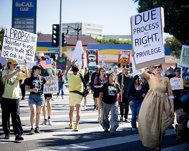 Protesters hold placards during the No Kings Protest.