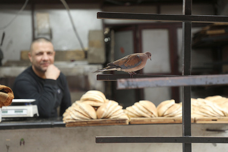 A Palestinian vendor displays bread while a type of pigeon appears, in the vegetable market in the Old City of Nablus in the West Bank on a rainy winter day during a hailstorm that hit Palestine and Israel.