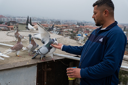 Abdullah Efe Turhan, whose house was destroyed in the earthquake, is feeding a family friend's pigeons. On February 6, 2023, devastating earthquakes struck southeastern Turkey and northern Syria, killing more than 53,500 people according to official figures. Two million people were left homeless. As the third anniversary of the earthquakes approaches, infrastructure problems persist in Antakya district of Hatay, which suffered the most damage, while a new urbanization process is underway.