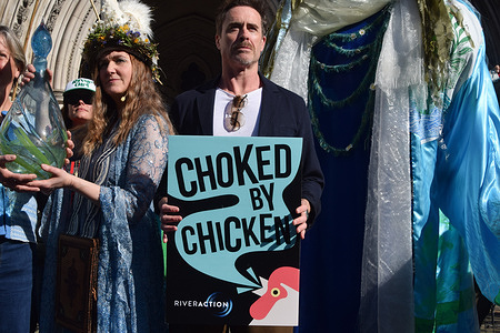 Actor and activist James Murray (c) stands with a 'Chocked by chicken' placard during a demonstration outside the Royal Courts of Justice as residents of the Wye, Lugg and Usk catchments launch a collective legal claim against Avara Foods group and Dwr Cymru Welsh Water, alleging that intensive poultry production and sewage discharges have polluted the rivers and led to ecological collapse. The case is the biggest ever environmental pollution claim in the UK.