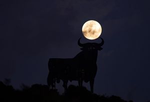 SOPA Images - Gallery - First full moon of the year in Malaga, Spain