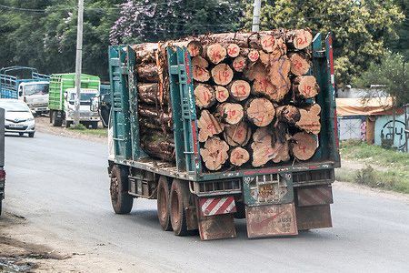 A truck loaded with wood logs is seen being driven in Nakuru City. Kenya plans to plant 1.5 billion trees annually to meet a target of 15 billion trees by 2032, as part of the government's agenda to attain 30% national tree cover.