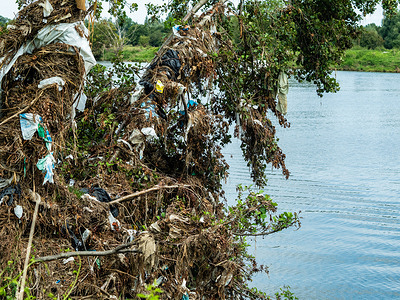 View of a tree close to the river with some garbage hanging on the branches.
Almost a month ago since deadly floods swept through western Germany, parts of Belgium, and the South of Limburg in The Netherlands, garbage, and damage are still visible from some areas close to the rivers.
