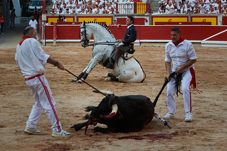 Bullfighter Andy Cartagena, celebrates the death of the fifth bull as bullring workers remove the dead bull at the Monumental Bullring of Pamplona during the San Fermín 2026 festivities.