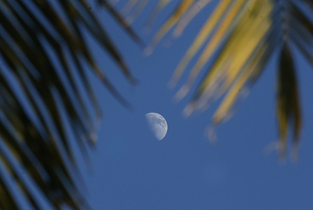 A view of the moon during sunset.
