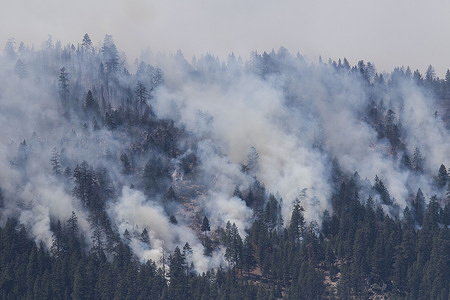 Clouds of smoke as trees burn on the mountain side. 
A spot fire from the Dixie Fire spreads to the highway 395. Cal Fire reports that the Dixie Fire has now grown over 600,000 acres. The cause of the fire is still being investigated.