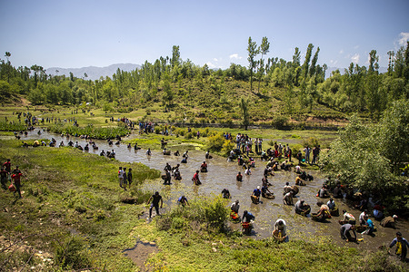 Villagers clean and fish in the waters of Panzath Nag, a natural spring, during an annual community festival at Panzath village in southern Kashmir’s Anantnag district, Indian administered Kashmir. The centuries old tradition, locally known as “Gaade Maar,” sees hundreds of residents, including children, gather each year to clean and fish in the waters of Panzath Nag by removing weeds, silt and waste from the spring system to preserve the environment and maintain water flow ahead of the paddy cultivation season. Participants work collectively in the shallow waters as part of a community driven effort that also helps preserve local customs and ecological awareness. Panzath Nag, believed to comprise nearly 500 freshwater springs, is considered an important water source in the Himalayan region and supports irrigation and daily water needs for surrounding villages in southern Kashmir.