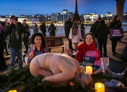As daylight disappears a human curls up instead of a usual turkey on a decorated Christmas table, surrounded by diners. The vegan global art movement 'SpeciesismWTF' has created an art installation on the South Bank in London. The artwork, titled 'Poultry is not Human(e)', places a human in the position of an animal at the Christmas dinner table. They state that globally, billions of birds are confined, mutilated, and slaughtered every year for eggs and meat.