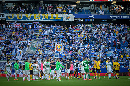 Players of RCD Espanyol celebrate a goal during the La Liga EA Sports match between RCD Espanyol and Elche CF at Stage Front Stadium. Final Score: RCD Espanyol 1:0 Elche CF.