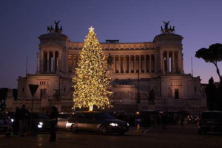 A view of the Christmas tree at the Municipality of Rome, nicknamed "Spelacchio", in Piazza Venezia.
