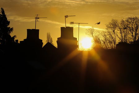 A bird is seen flying during a winter golden sun rises over in London.